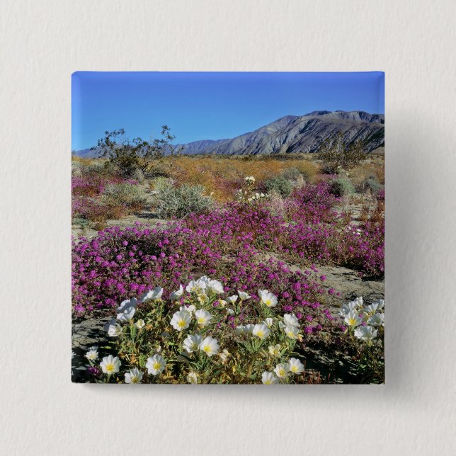 USA, California, Anza-Borrego DSP. Dune evening 2 Inch Square Button (Front)
