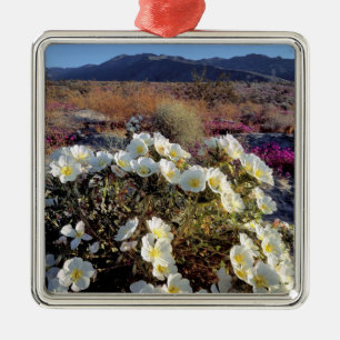 USA, California, Anza-Borrego DSP. Dune evening 2 Metal Ornament