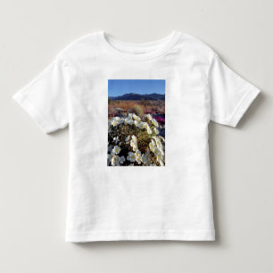 USA, California, Anza-Borrego DSP. Dune evening 2 Toddler T-shirt