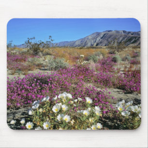 USA, California, Anza-Borrego DSP. Dune evening Mouse Pad