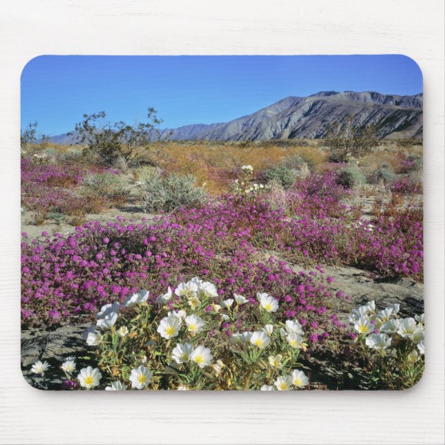 USA, California, Anza-Borrego DSP. Dune evening Mouse Pad (Front)