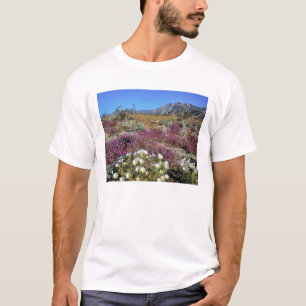 USA, California, Anza-Borrego DSP. Dune evening T-Shirt