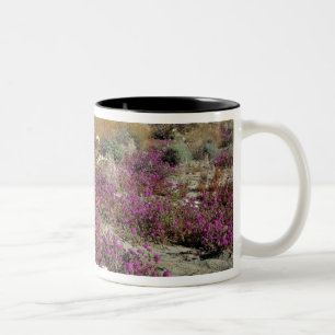 USA, California, Anza-Borrego DSP. Dune evening Two-Tone Coffee Mug