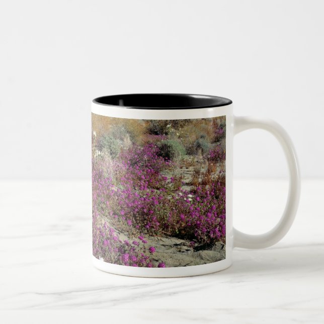 USA, California, Anza-Borrego DSP. Dune evening Two-Tone Coffee Mug (Right)