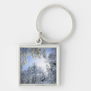USA, California, Cleveland National Forest, Keychain