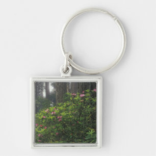 USA, California, Del Norte, Redwoods St. Park, Keychain