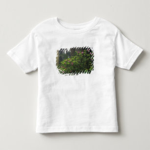 USA, California, Del Norte, Redwoods St. Park, Toddler T-shirt