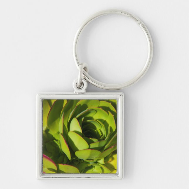 USA, California. Giant Lobelia Plant Close Up Keychain (Front)