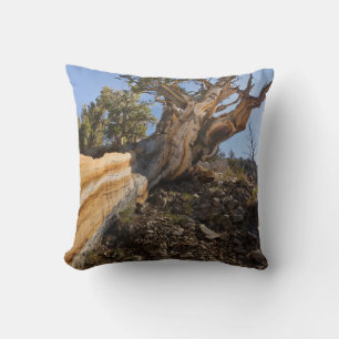USA, California, Inyo National Forest 12 Throw Pillow