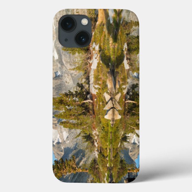USA, California, Inyo National Forest 13 Case-Mate iPhone Case (Back)