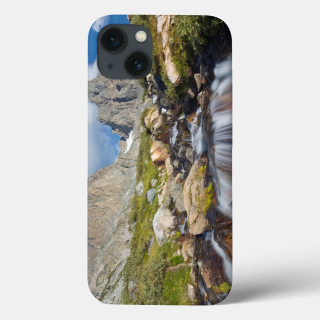 USA, California, Inyo National Forest 14 Case-Mate iPhone Case (Back)