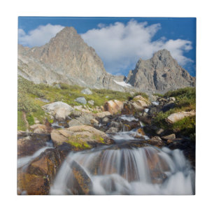USA, California, Inyo National Forest 14 Tile