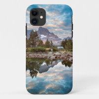 USA, California, Inyo National Forest 15