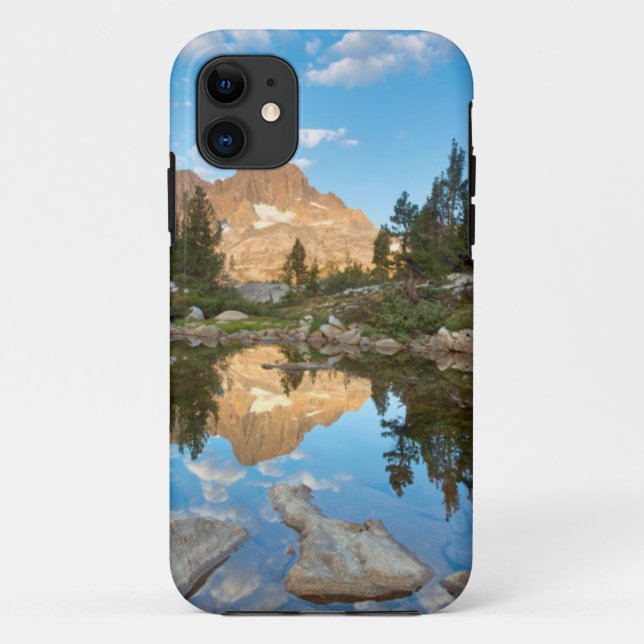 USA, California, Inyo National Forest. 2 Case-Mate iPhone Case (Back)