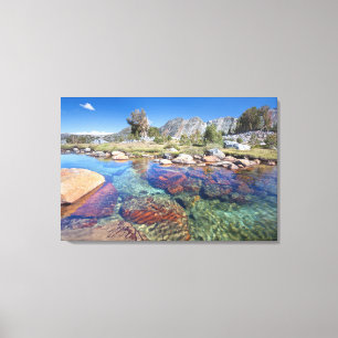 USA, California, Inyo National Forest 4 Canvas Print