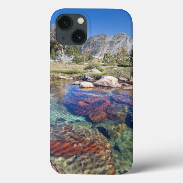 USA, California, Inyo National Forest 4 Case-Mate iPhone Case (Back)