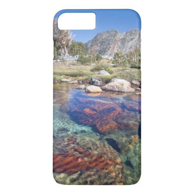 USA, California, Inyo National Forest 4 Case-Mate iPhone Case (Back)