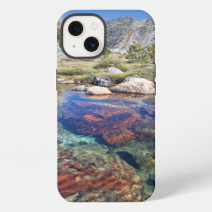 USA, California, Inyo National Forest 4 iPhone 13 Case