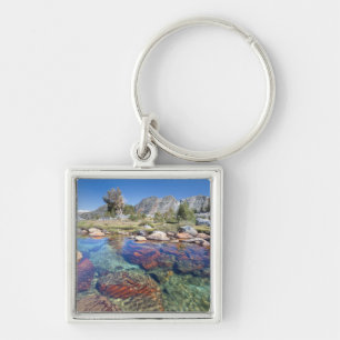 USA, California, Inyo National Forest 4 Keychain