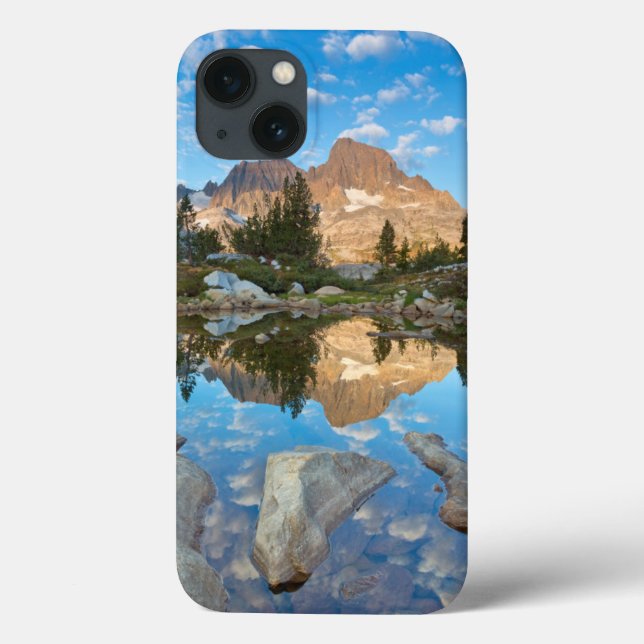 USA, California, Inyo National Forest 5 Case-Mate iPhone Case (Back)