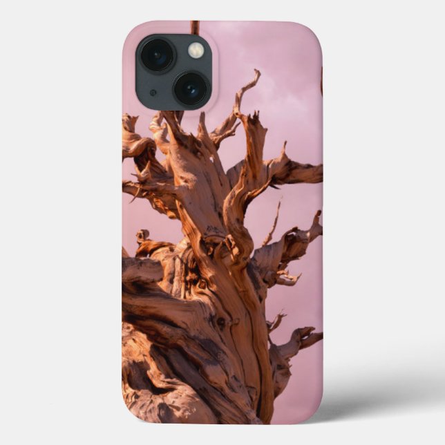 USA, California, Inyo National Forest 9 Case-Mate iPhone Case (Back)