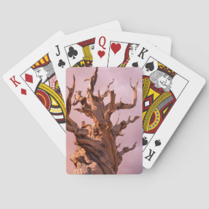 USA, California, Inyo National Forest 9 Playing Cards