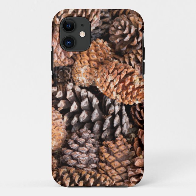 USA, California, Inyo National Forest Case-Mate iPhone Case (Back)