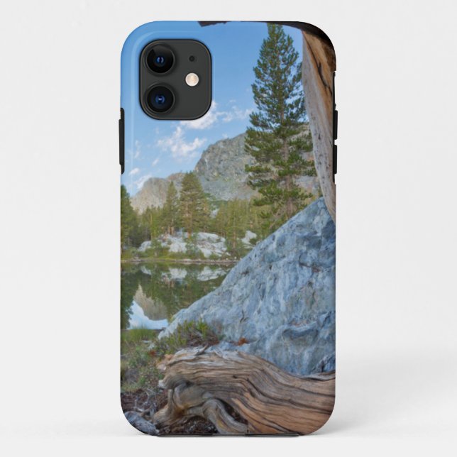 USA, California, Inyo National Forest. Old Pine Case-Mate iPhone Case (Back)