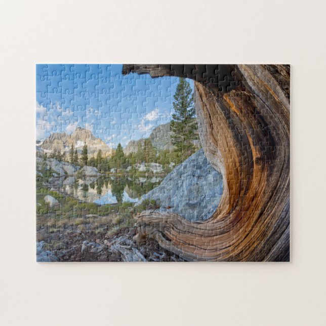 USA, California, Inyo National Forest. Old Pine Jigsaw Puzzle (Horizontal)