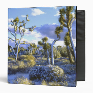 USA, California, Joshua Tree National Park. 2 Binder