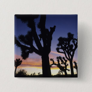 USA, California, Joshua Tree National Park, 2 Inch Square Button