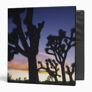 USA, California, Joshua Tree National Park, Binder