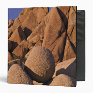 USA, California, Joshua Tree National Park. Binder