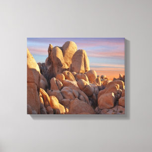 USA, California, Joshua Tree National Park Canvas Print