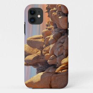 USA, California, Joshua Tree National Park iPhone 11 Case