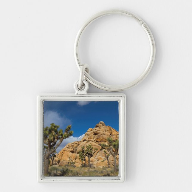 USA, California, Joshua Tree National Park Keychain (Front)
