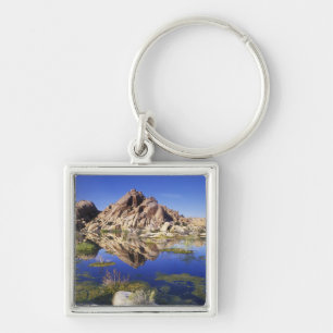 USA, California, Joshua Tree National Park, Keychain