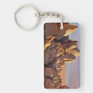 USA, California, Joshua Tree National Park Keychain