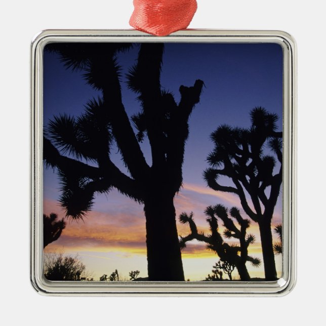 USA, California, Joshua Tree National Park, Metal Ornament (Front)