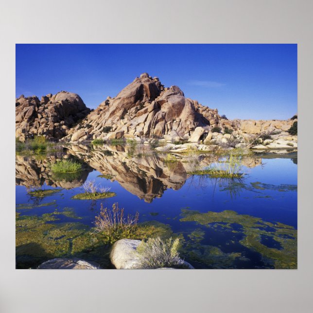 USA, California, Joshua Tree National Park, Poster (Front)