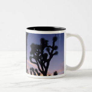 USA, California, Joshua Tree National Park, Two-Tone Coffee Mug