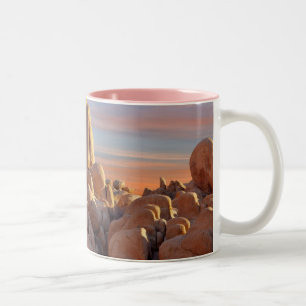 USA, California, Joshua Tree National Park Two-Tone Coffee Mug