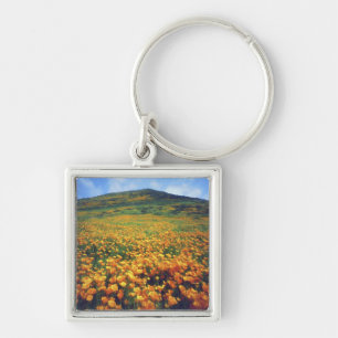 USA, California, Lake Elsinore. California Keychain