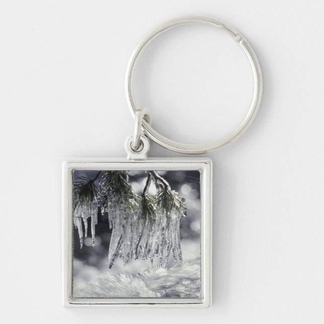 USA, California, Lake Tahoe. Icicles over Keychain (Front)
