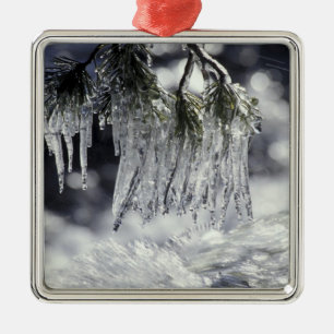 USA, California, Lake Tahoe. Icicles over Metal Ornament