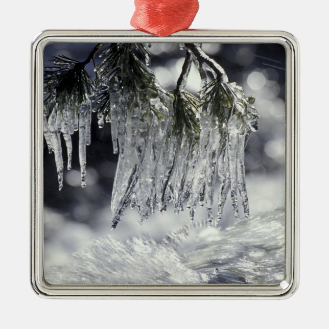 USA, California, Lake Tahoe. Icicles over Metal Ornament (Front)