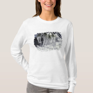USA, California, Lake Tahoe. Icicles over T-Shirt