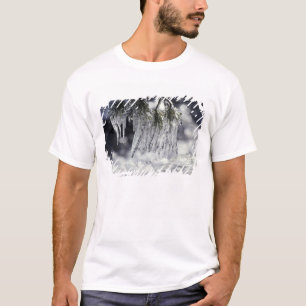 USA, California, Lake Tahoe. Icicles over T-Shirt