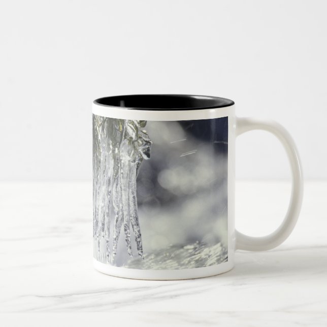 USA, California, Lake Tahoe. Icicles over Two-Tone Coffee Mug (Right)