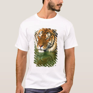 USA, California, Los Angeles County. Bengal T-Shirt